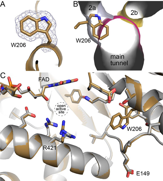 Fig. 3.