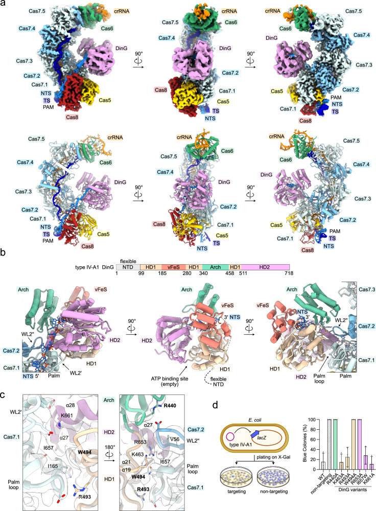 Fig. 6