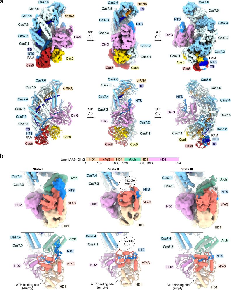 Fig. 7