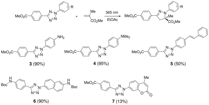 Scheme 3