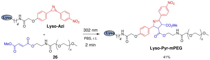 Scheme 4