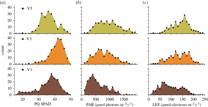 Figure 9.