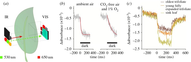 Figure 6.