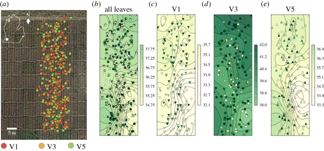 Figure 7.