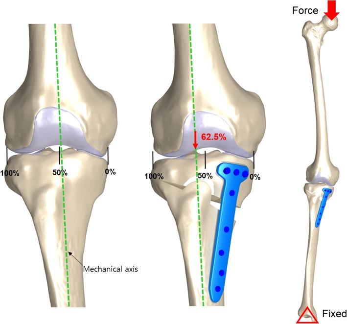 Fig. 3