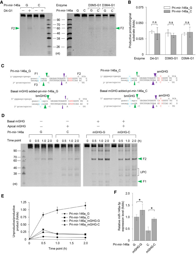 FIGURE 4.