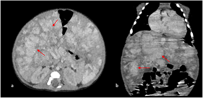 Figure 5.