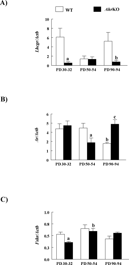 FIG. 5.