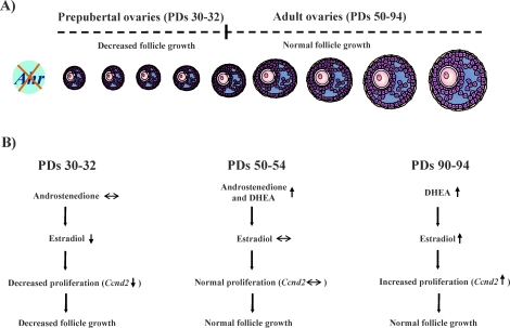 FIG. 7.