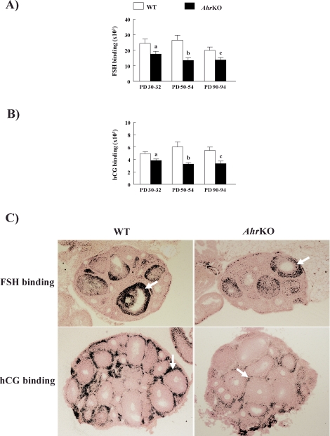 FIG. 6.