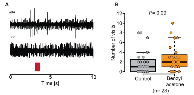 Figure 4—figure supplement 1.