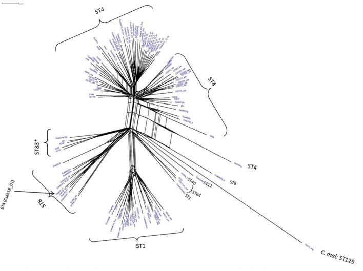 FIGURE 1