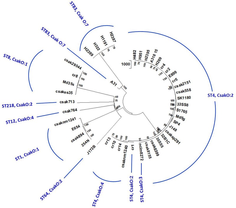 FIGURE 3