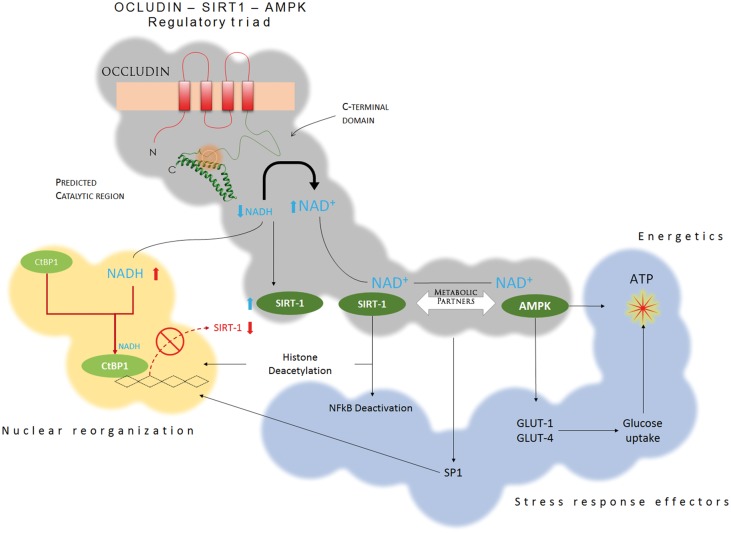 Figure 7.