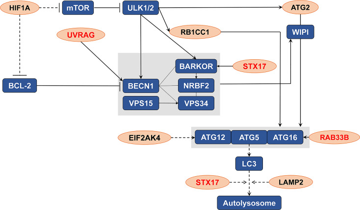 Figure 10