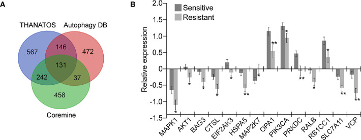 Figure 1