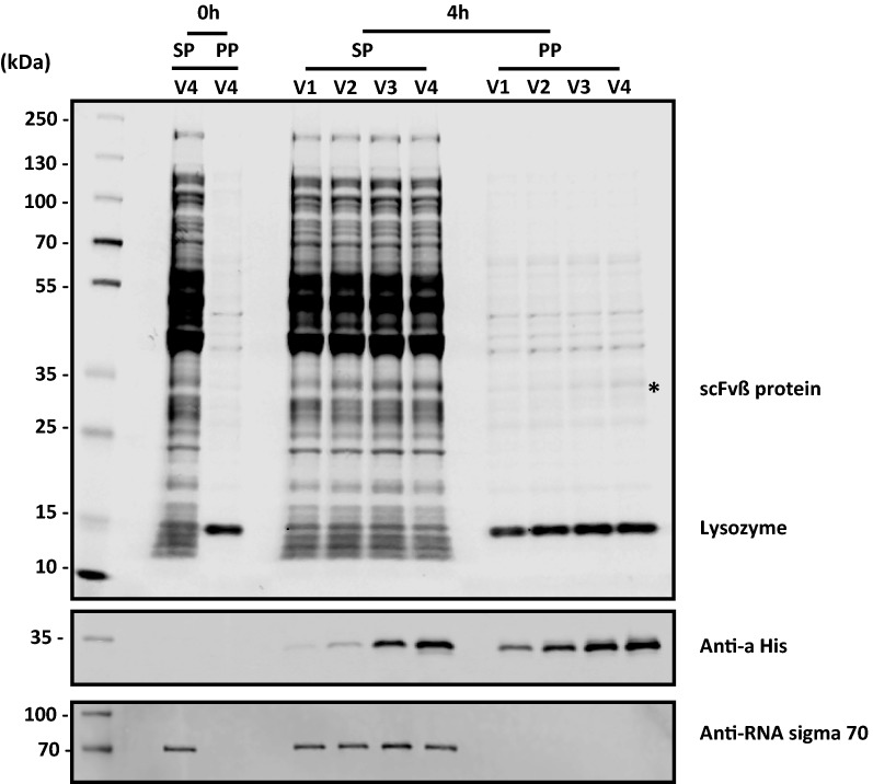 Fig. 6