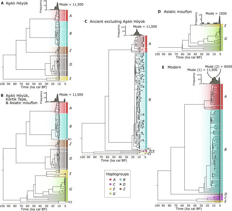 Fig. 2.