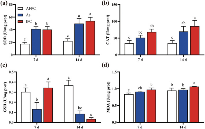 FIGURE 5