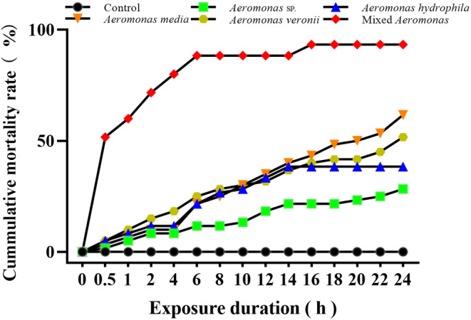 FIGURE 6