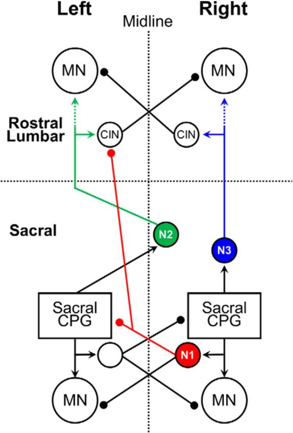 Figure 11.