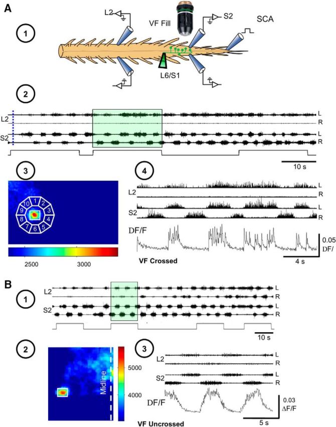 Figure 7.