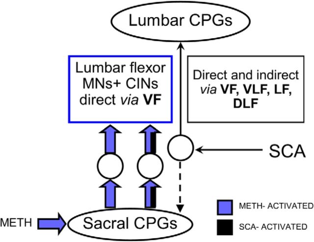 Figure 10.