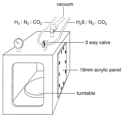 FIG. 1