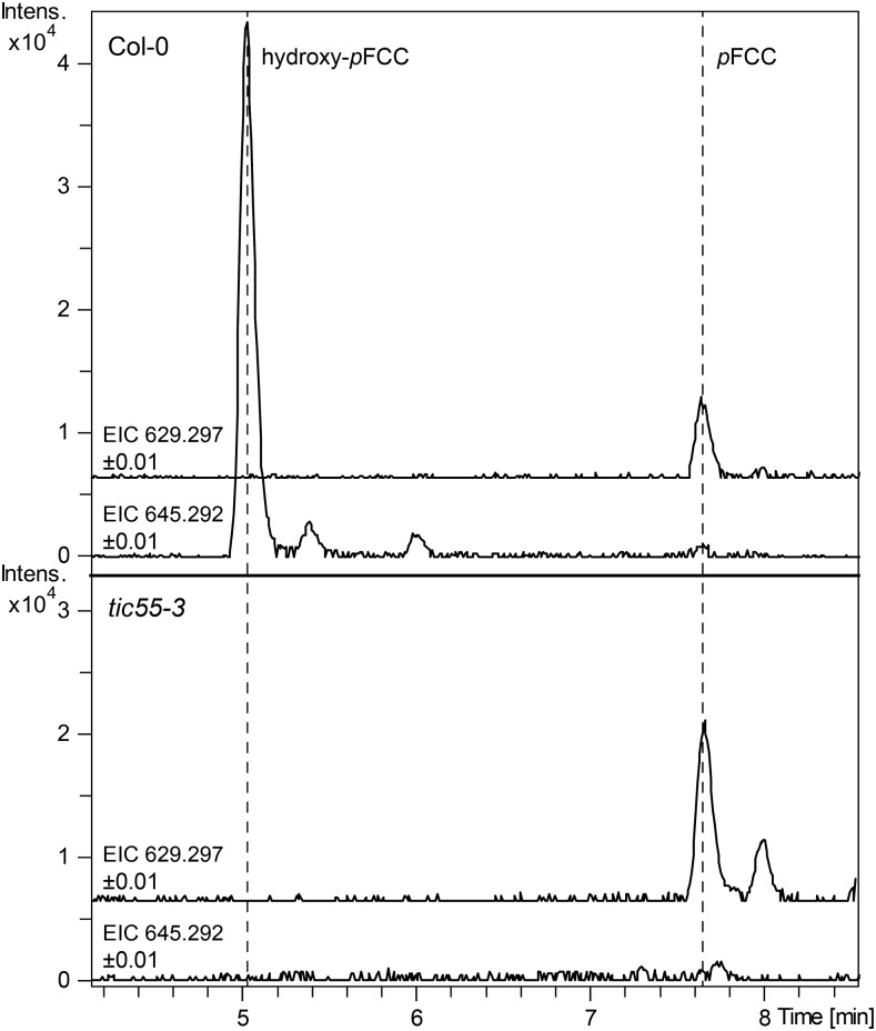 Figure 7.