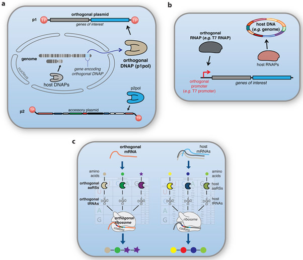 Figure 2: