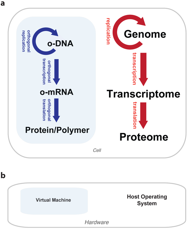 Figure 1: