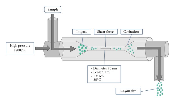 Figure 2