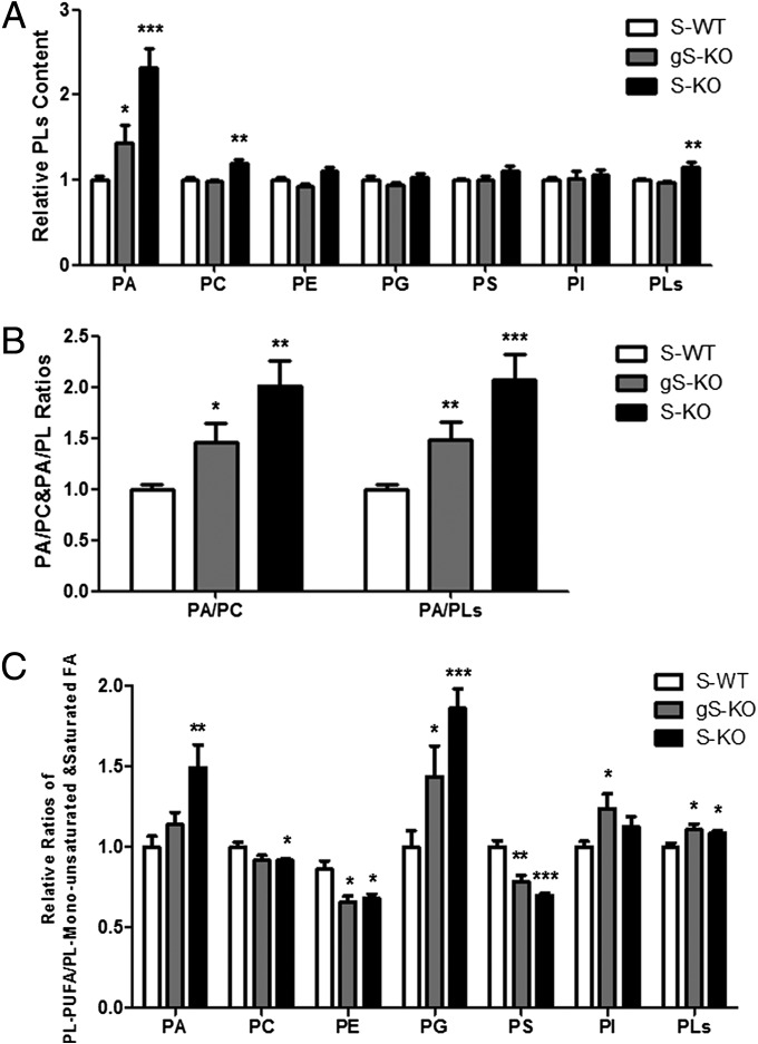 Fig. 7.