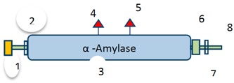 graphic file with name molecules-22-00025-i004.jpg