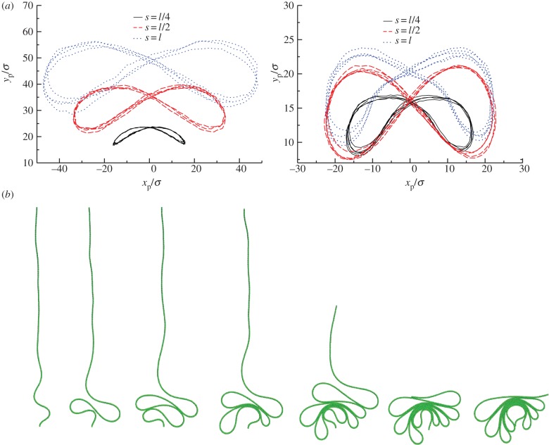 Figure 5.