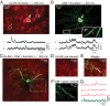 Fig. 4.