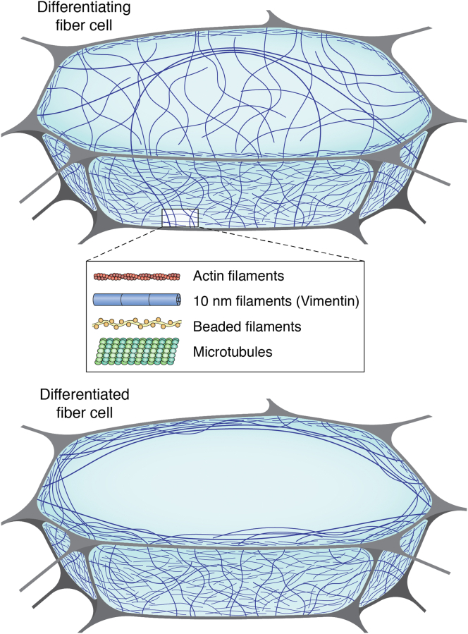 Figure 7