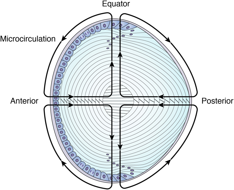 Figure 6