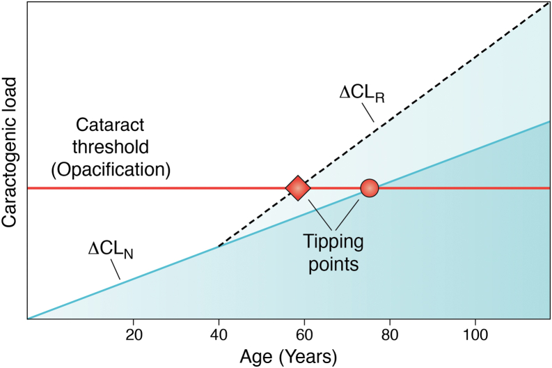 Figure 5