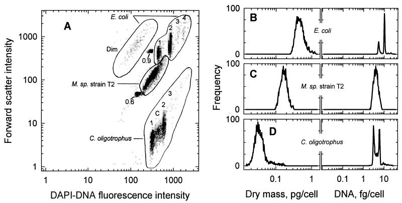 FIG. 4