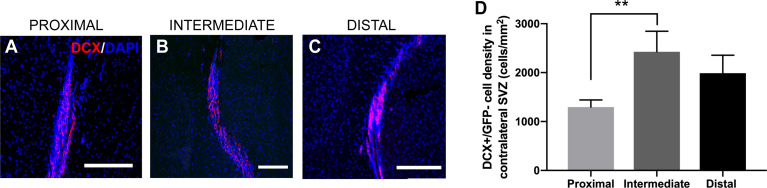 Figure 6