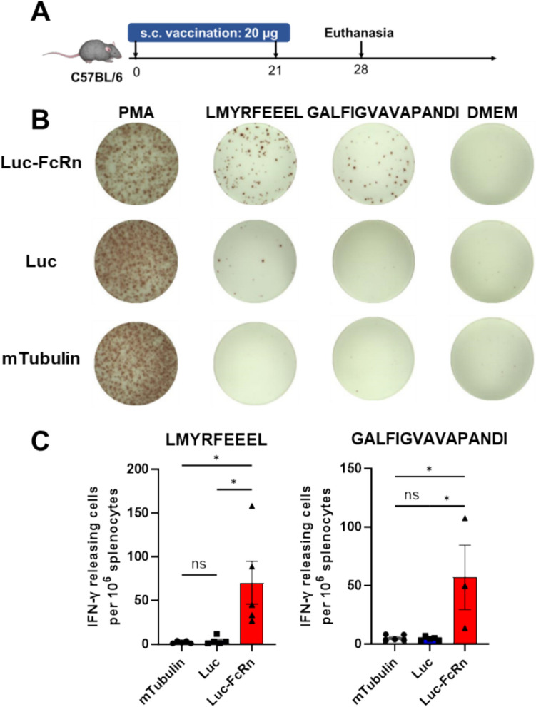 Fig. 2