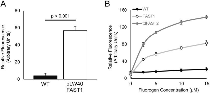 FIG 1