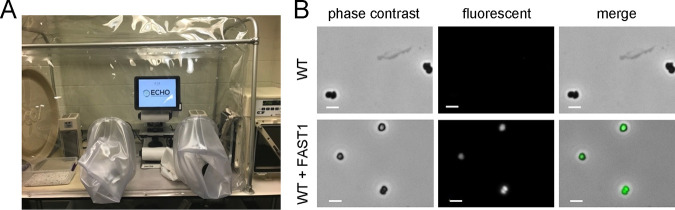 FIG 2