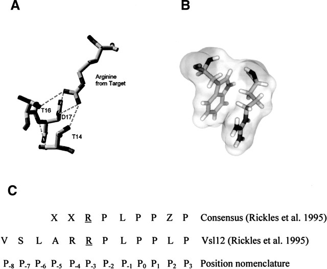 Figure 5.