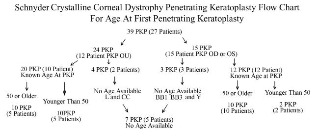 FIGURE 24