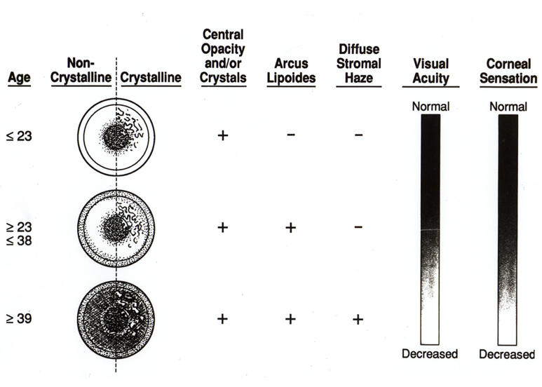 FIGURE 27