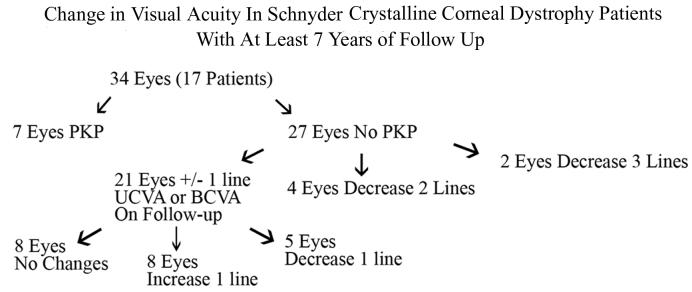 FIGURE 21