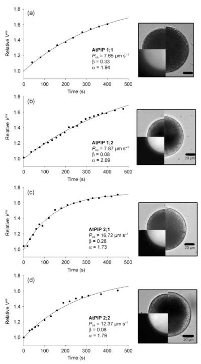 Fig. 2