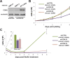 FIG 10